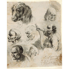 Figure Studies: Five Old Men's Heads, Dog's Head and a lute Player.