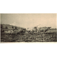 'Labourage Nivernais'  Two teams of oxen ploughing by  Auguste  Anastasi [1820-1889].