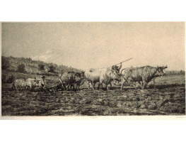 'Labourage Nivernais'  Two teams of oxen ploughing by  Auguste  Anastasi [1820-1889].