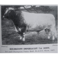 Shorthorn Breeders' Guide 1928 Illustrated with a Short History of the Breed and its Capabilities, Accounts of Shows and Sales in 1927, and Articles of General Interest to Shorthorn Breeders.