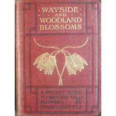 Wayside and Woodland Trees A Pocket Guide to the British Sylva.