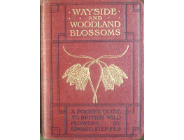 Wayside and Woodland Trees A Pocket Guide to the British Sylva.