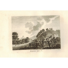 'Montgomery Castle' , 2 plates, by S. Sparrow.