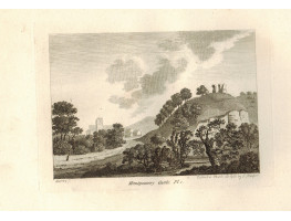 'Montgomery Castle' , 2 plates, by S. Sparrow.