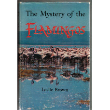 The Mystery of the Flamingoes.