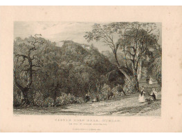 View of  the Country House, Castle Eden Hall. Seat of Rowland Burdon after T. Allom by T. Jeavons.
