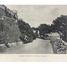 The Century Book of Gardening.