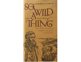 So Wild A Wild Thing. Letters to Gamel Woolsey. Edited as a Narrative by Malcolm Elwin.