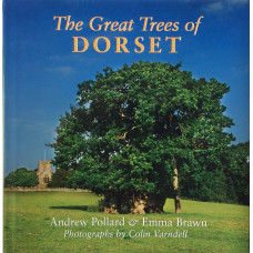 The Great Trees of Dorset.