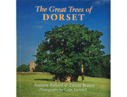 The Great Trees of Dorset.
