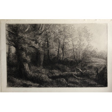A Woodland Study.