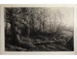 A Woodland Study.