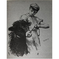 'A Study' Boy holding steer. 'A Study' Boy holding steer.