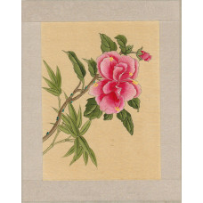 Three Flower Paintings.