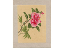 Three Flower Paintings.