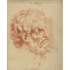 Le Mepris, Scorn. Head facing right.