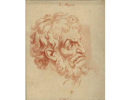 Le Mepris, Scorn. Head facing right.
