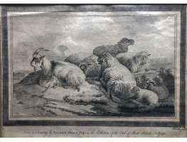 Goat, kid and sheep and lambs lying down, after Jan van der Meer II [1656-1705].