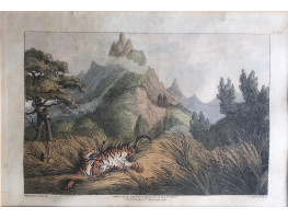 Tiger shot with a poisoned arrow, after Samuel Howitt by J. Clark.